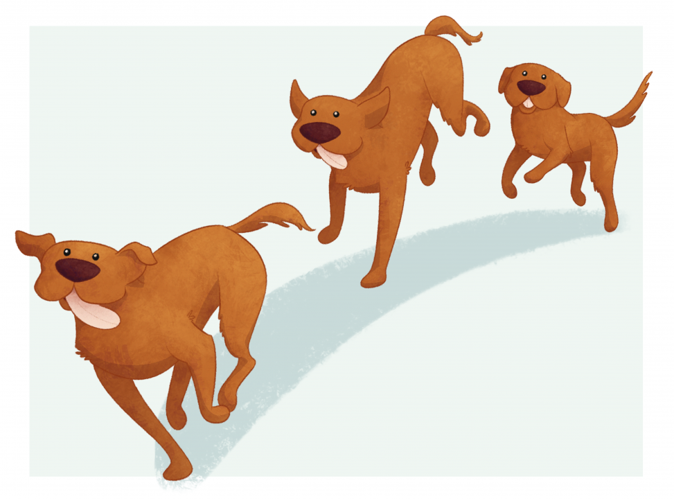 A three-image sequence of a dog running